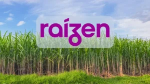 Raízen (RAIZ4) quer trocar o conselho, mexer no capital e entregar até R$ 35 bilhões em novos papéis aos acionistas Raízen (RAIZ4) quer trocar o conselho, mexer no capital e entregar até R$ 35 bilhões em novos papéis aos acionistas